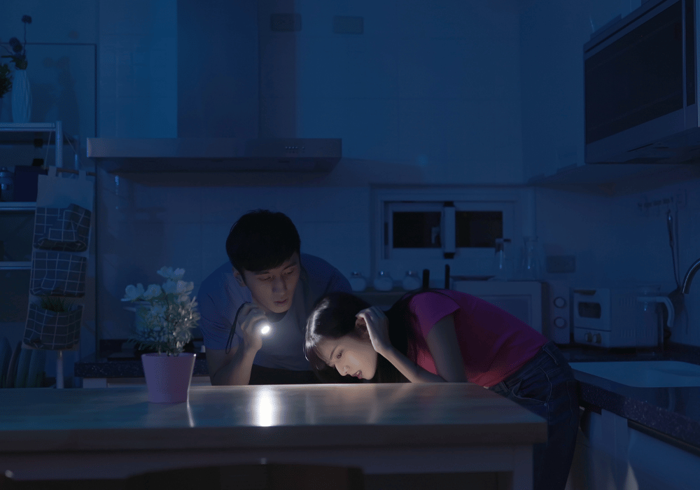 The Hidden Dangers Of Power Outages (And How To Avoid Them   Notstromaggregat Hausnetz Anschließen) - ehkcukq