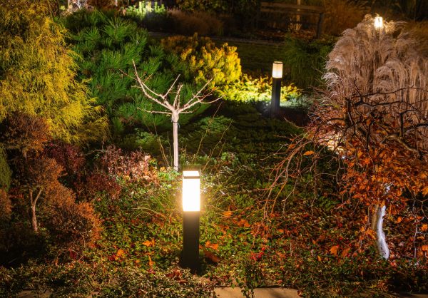 pathway lit up in the fall